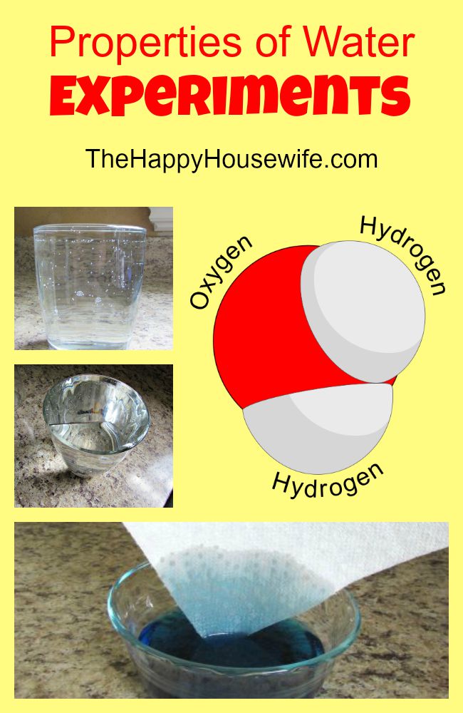 Properties of Water Experiments The Happy Housewife™ Home Schooling