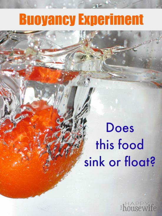 Does This Food Sink Or Float Buoyancy Experiment The