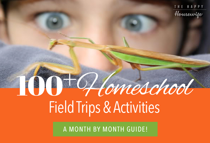 Homeschool Field Trips and activities