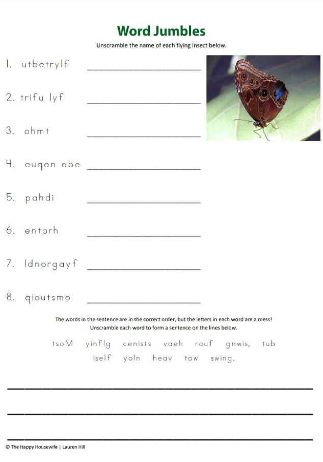Flying Insects Printables