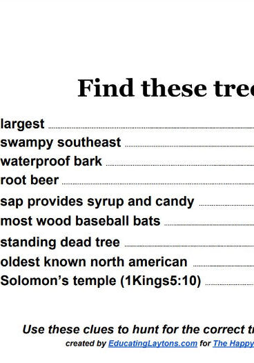 Tree Scavenger Hunt