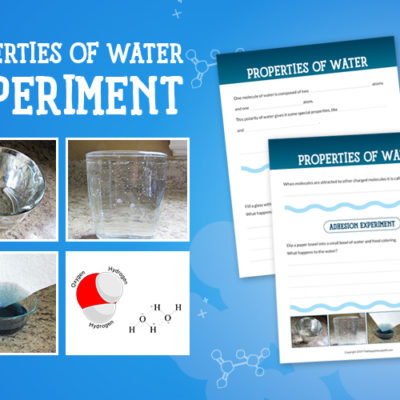 It seems that water is everywhere and in all facets of life. We drink it. We bathe in it. We play in it. We often take it for granted. Since water is everywhere, let's learn more about the properties of water and test them with a few simple experiments.