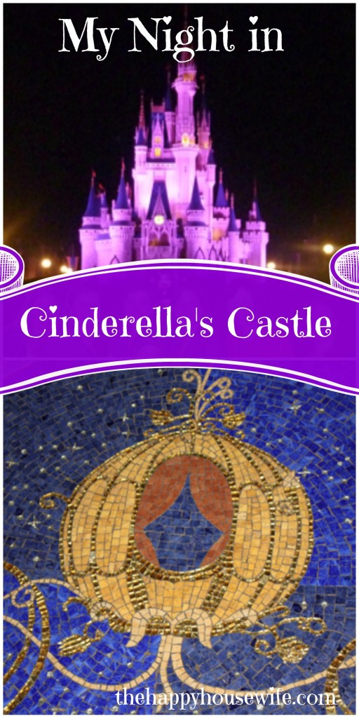 stay in cinderella's castle