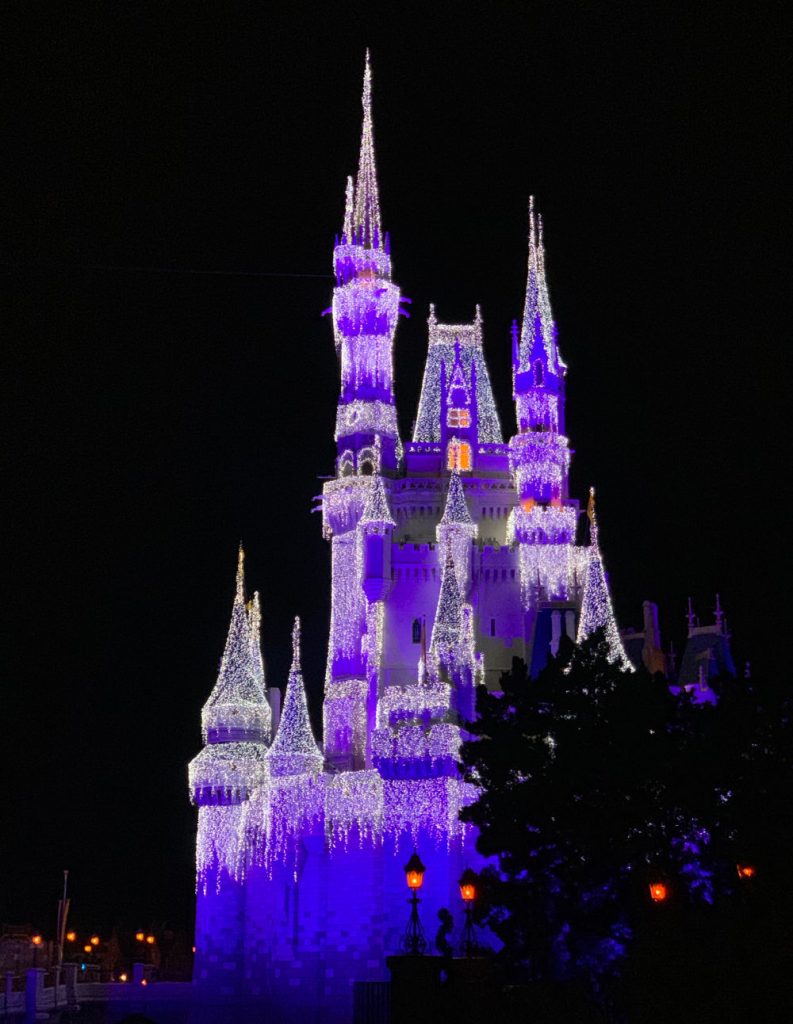 Magic Kingdom at Christmas 