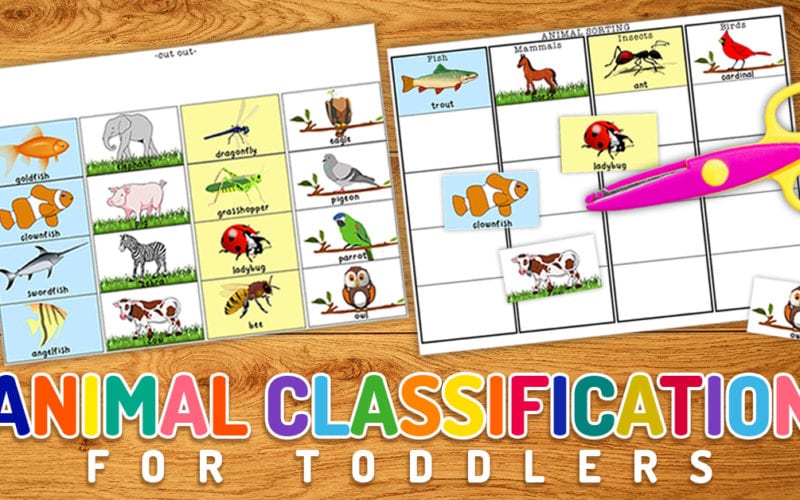 Animal Classification Printable